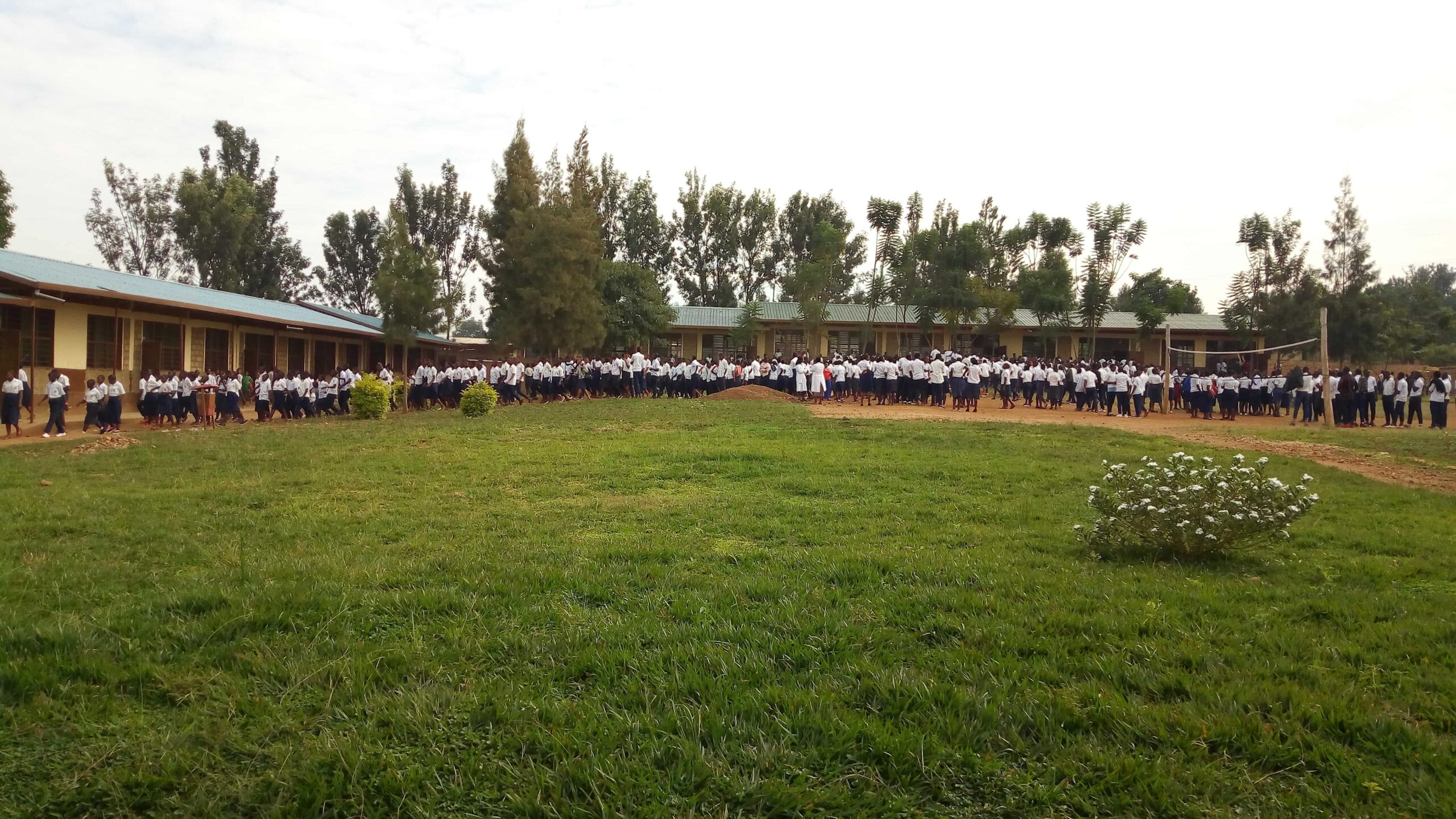 School backgroun